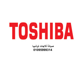 شركة صيانة ديب فريزر توشيبا الفيوم 01023140280