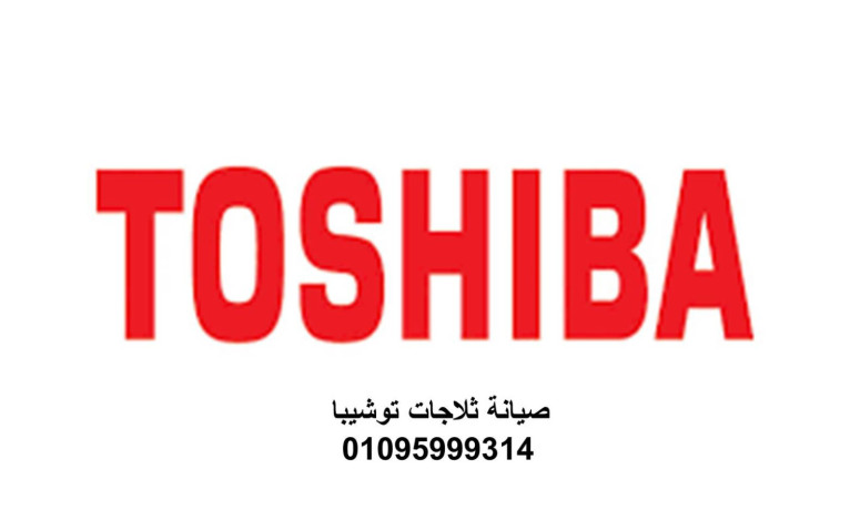 shrk-syan-dyb-fryzr-toshyba-alfyom-01023140280-big-0