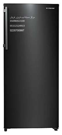 dman-syan-dyb-fryzr-frysh-alsoys-01210999852-big-0