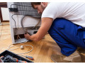alfraa-alryysy-lsyan-thlagat-aydyal-zanosy-balmhl-alkbry-01220261030-small-0