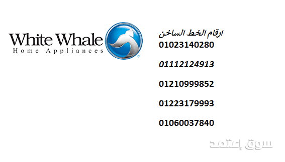 alrkm-almohd-lsyan-thlagat-oayt-oyl-fy-shbra-alkhym-01210999852-big-0