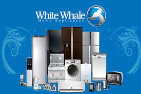 tokyl-thlag-doblks-oayt-oyl-alshykh-zayd-01093055835-big-0