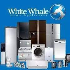 khdm-aamlaaa-dyb-fryzr-oayt-oyl-albagor-01096922100-big-0