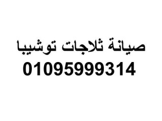 شركة صيانة ديب فريزر توشيبا مدينة السادات 01210999852