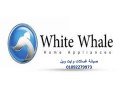 syan-ghsalat-mlabs-oayt-oyl-alsoys-bastkhdam-ktaa-ghyar-asly-01210999852-small-0