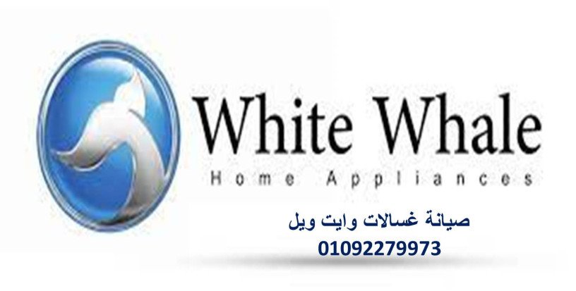 syan-ghsalat-mlabs-oayt-oyl-alsoys-bastkhdam-ktaa-ghyar-asly-01210999852-big-0