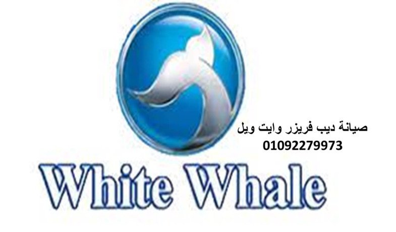 tlyfon-syan-ghsalat-oayt-oyl-alshykh-zayd-01112124913-big-0