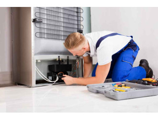 تصليح ثلاجات فريش لا تبرد بالزقازيق 01096922100