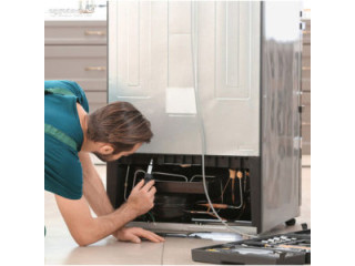 تفعيل ضمان ثلاجة ايديال ايليت فرع ههيا 01093055835
