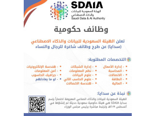 الهيئة السعودية للبيانات