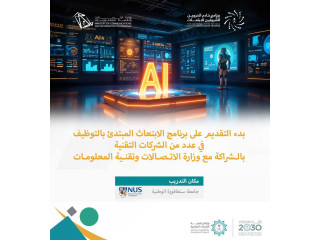 برنامج خادم الحرمين يعلن برنامج ابتعاث منتهي بالتوظيف مقدم من 7 شركات